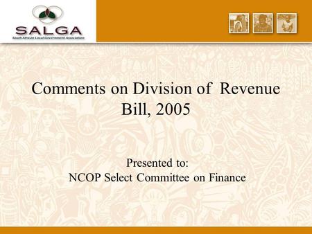 Comments on Division of Revenue Bill, 2005 Presented to: NCOP Select Committee on Finance.