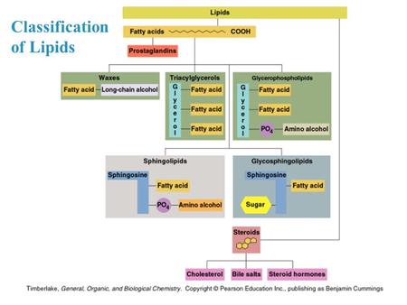 Classification of Lipids.