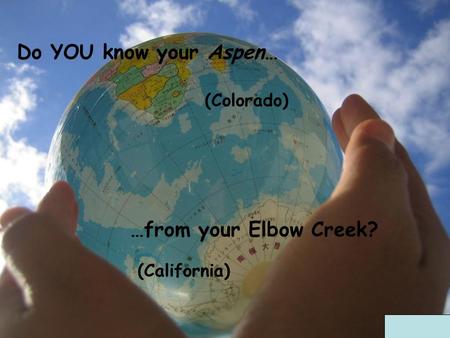 Do YOU know your Aspen… (Colorado) (California) …from your Elbow Creek?