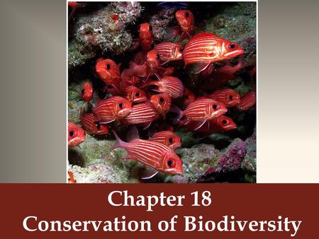 Chapter 18 Conservation of Biodiversity 1. Case Study Modern Conservation Legacies 2.