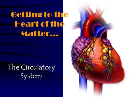 Getting to the Heart of the Matter… The Circulatory System.