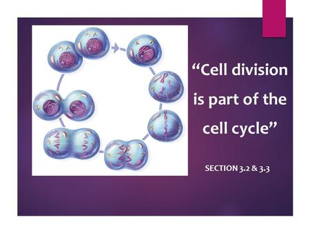 “Cell division is part of the cell cycle” SECTION 3.2 & 3.3.