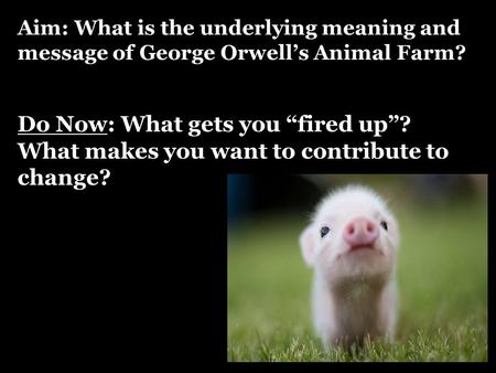 Literary Devices for Animal Farm - ppt download