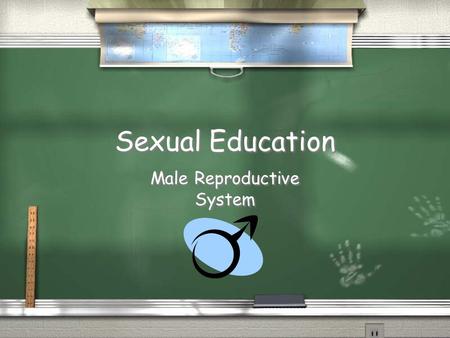 Sexual Education Male Reproductive System. Hormones / Testosterone / The male hormone that causes the testes to produce sperm / Testosterone / The male.