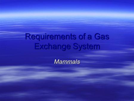 Requirements of a Gas Exchange System Mammals. Large Surface Area  Alveoli allow a surface area 40x that of the body.