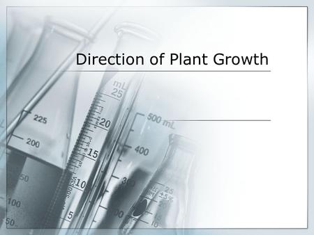 Direction of Plant Growth
