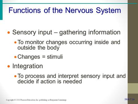 Slide 7.1a Functions of the Nervous System Copyright © 2003 Pearson Education, Inc. publishing as Benjamin Cummings  Sensory input – gathering information.