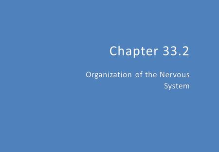 Chapter 33.2. The Nervous System The Central Nervous System (CNS)