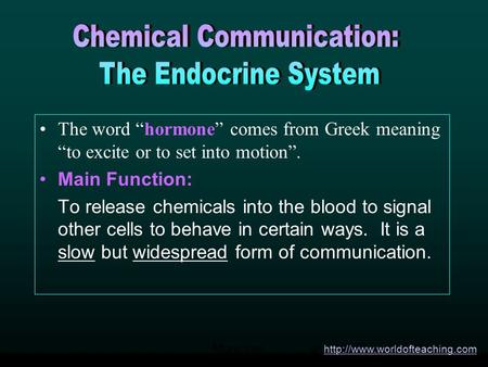 The word “hormone” comes from Greek meaning “to excite or to set into motion”. Main Function: To release chemicals into the blood to signal other cells.