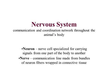 Nervous System communication and coordination network throughout the animal’s body Neuron – nerve cell specialized for carrying signals from one part of.