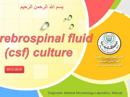 Cerebrospinal fluid (csf) culture