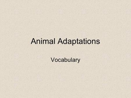 Animal Adaptations Vocabulary. Behavior The actions of an animal.