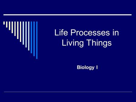 Life Processes in Living Things