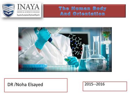 2015--2016 DR /Noha Elsayed. Course outline 1.Learning outcome 2.The Human Body&Orientation.