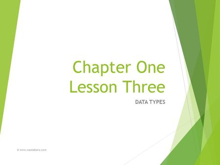 Chapter One Lesson Three DATA TYPES © www.waxkabaro.com.
