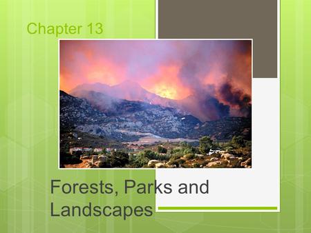 Chapter 13 Forests, Parks and Landscapes. Modern Conflicts over Forest Land and Forest Resources  Do we use the trees as resources or conserve them?
