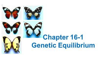 Chapter 16-1 Genetic Equilibrium. Reminder- This will be up online.