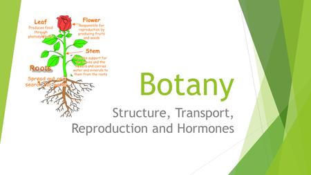 Structure, Transport, Reproduction and Hormones