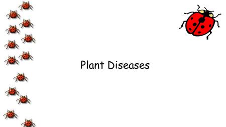 Plant Diseases.