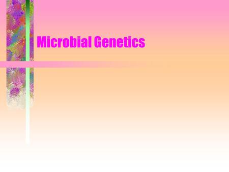 Microbial Genetics. DNA is the Genetic Material Griffiths Avery et al.