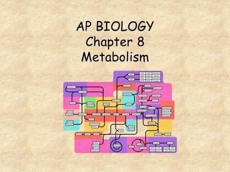 AP BIOLOGY Chapter 8 Metabolism. The _____ Law of Thermodynamics states that energy can be transformed and transferred by NEVER created or destroyed Anabolic.