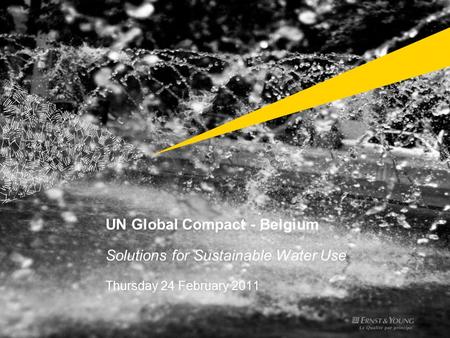 UN Global Compact - Belgium Solutions for Sustainable Water Use Thursday 24 February 2011.