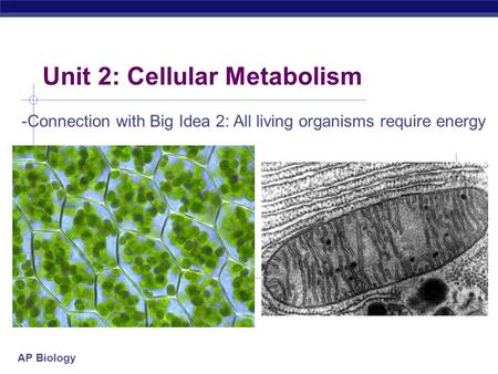 AP Biology Unit 2: Cellular Metabolism -Connection with Big Idea 2: All living organisms require energy.
