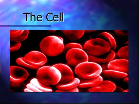 The Cell The Cell. Some Random Cell Facts The average human being is composed of around 100 Trillion individual cells!!! The average human being is composed.