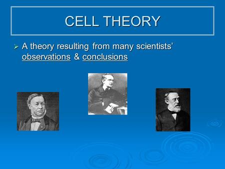 CELL THEORY  A theory resulting from many scientists’ observations & conclusions Sch wan n Sch leid en Virc how.
