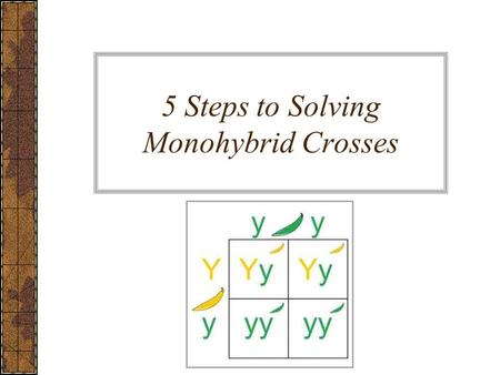 5 Steps to Solving Monohybrid Crosses
