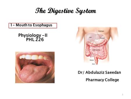 The Digestive System PHL 226 Dr/ Abdulaziz Saeedan Pharmacy College