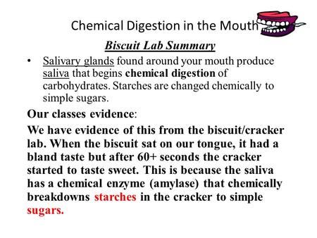 Chemical Digestion in the Mouth Biscuit Lab Summary Salivary glands found around your mouth produce saliva that begins chemical digestion of carbohydrates.