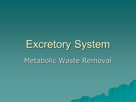 Metabolic Waste Removal