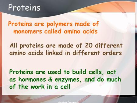 1 Proteins Proteins are polymers made of monomers called amino acids All proteins are made of 20 different amino acids linked in different orders Proteins.