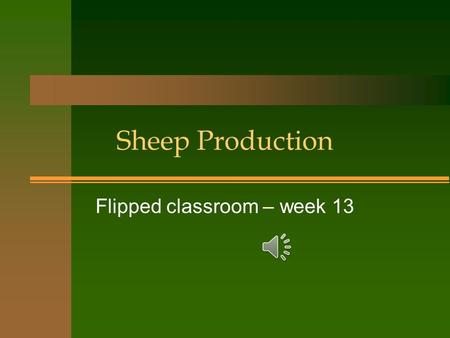 Sheep Production Flipped classroom – week 13 Why choose sheep? n Sheep can survive where cows can’t n Sheep will eat problem weeds like Leafy Spurge.