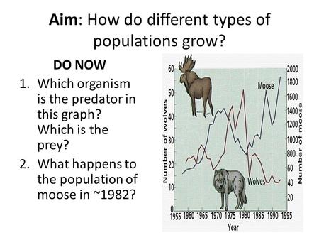 Aim: How do different types of populations grow? DO NOW 1.Which organism is the predator in this graph? Which is the prey? 2.What happens to the population.
