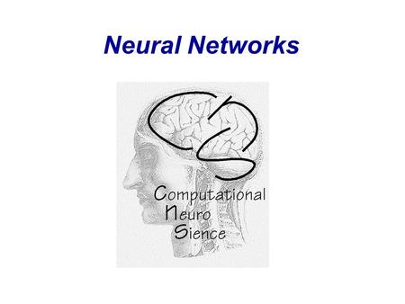 Neural Networks. Molecules Levels of Information Processing in the Nervous System 0.01  m Synapses 1m1m Neurons 100  m Local Networks 1mm Areas /