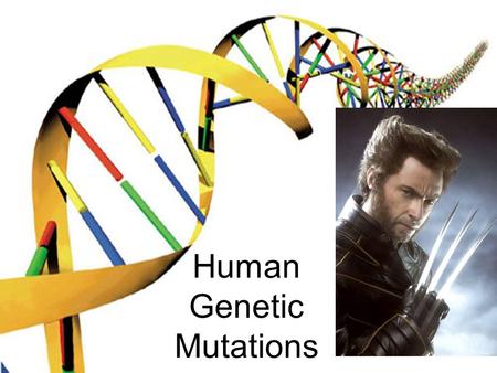 Human Genetic Mutations. What is a mutation? Mutations are changes made to an organism’s genetic material. These changes may be due to errors in replication,