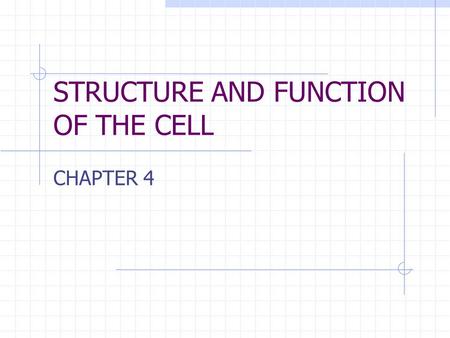 STRUCTURE AND FUNCTION OF THE CELL CHAPTER 4. CELL STRUCTURE AND FUNCTION- CHAPTER 4 VOCABULARY (33 words) 1. Cell2. Cell theory3. plasma membrane 4.