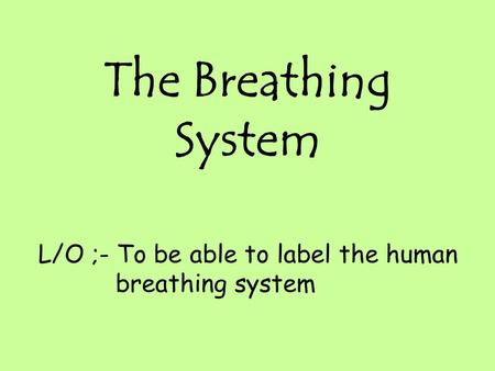 The Breathing System L/O ;- To be able to label the human breathing system.