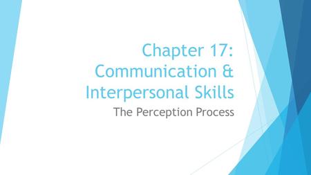 Chapter 17: Communication & Interpersonal Skills The Perception Process.