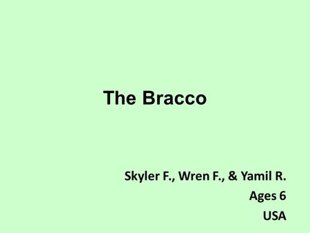 The Bracco Skyler F., Wren F., & Yamil R. Ages 6 USA.