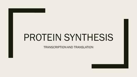 PROTEIN SYNTHESIS TRANSCRIPTION AND TRANSLATION. TRANSLATING THE GENETIC CODE ■GENES: CODED DNA INSTRUCTIONS THAT CONTROL THE PRODUCTION OF PROTEINS WITHIN.