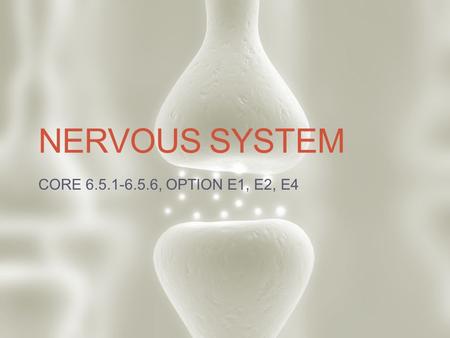 Nervous System CORE 6.5.1-6.5.6, OPTION E1, E2, E4.
