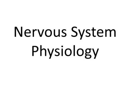 Nervous System Physiology. 3 functions of the nervous system 1) Sensory Input 2) Integration- decisions 3) Motor Output.