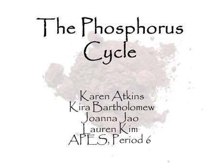 The Phosphorus Cycle Karen Atkins Kira Bartholomew Joanna Jao Lauren Kim APES, Period 6.