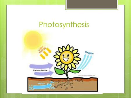 Photosynthesis. Energy and Life  Autotroph: organisms that make their own food  Heterotrophs: organisms that obtain energy from the foods they consume.