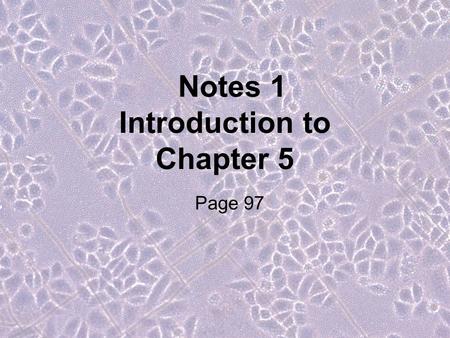 Notes 1 Introduction to Chapter 5 Page 97. With your table: 1) Watch this video.video 2) Answer these questions: a) What is this organism? b) What is.