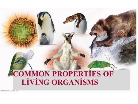 COMMON PROPERTİES OF LİVİNG ORGANİSMS. Zoology Botany.
