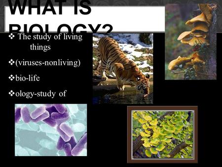 WHAT IS BIOLOGY?  The study of living things  (viruses-nonliving)  bio-life  ology-study of.